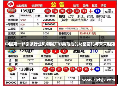 中国第一彩引领行业风潮揭开彩票背后的财富密码与未来趋势